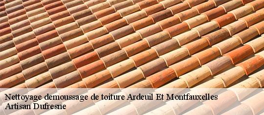 Nettoyage demoussage de toiture