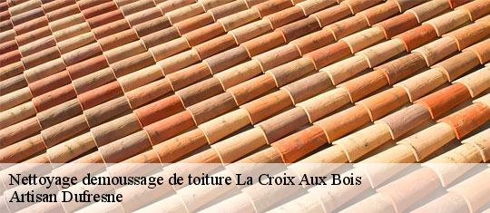 Nettoyage demoussage de toiture