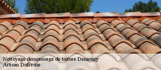 Nettoyage demoussage de toiture