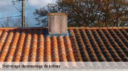 Nettoyage demoussage de toiture