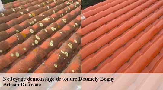 Nettoyage demoussage de toiture