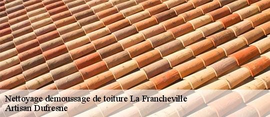 Nettoyage demoussage de toiture