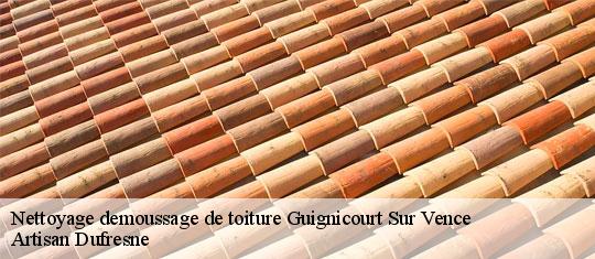 Nettoyage demoussage de toiture