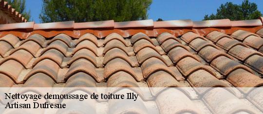 Nettoyage demoussage de toiture