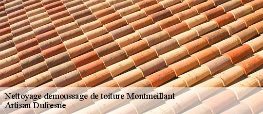 Nettoyage demoussage de toiture