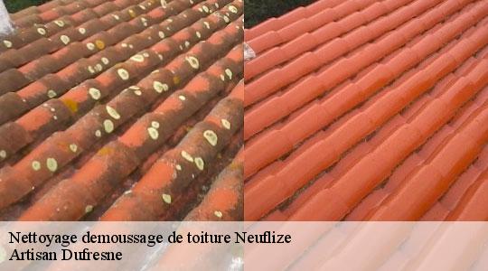 Nettoyage demoussage de toiture