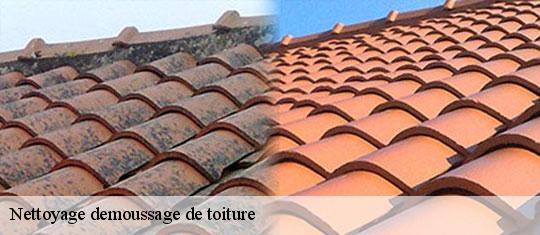 Nettoyage demoussage de toiture