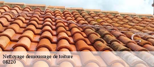 Nettoyage demoussage de toiture