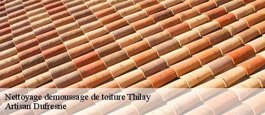 Nettoyage demoussage de toiture