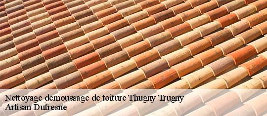 Nettoyage demoussage de toiture