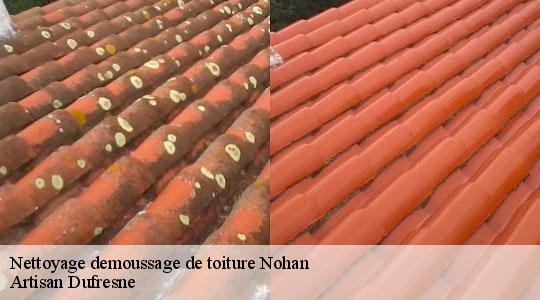 Nettoyage demoussage de toiture