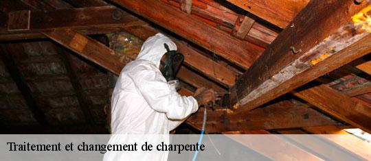 Traitement et changement de charpente