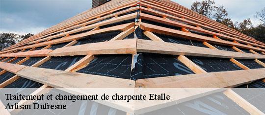 Traitement et changement de charpente