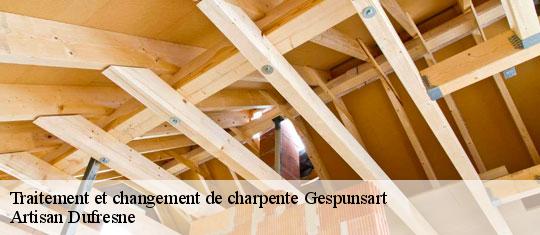 Traitement et changement de charpente