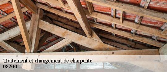 Traitement et changement de charpente