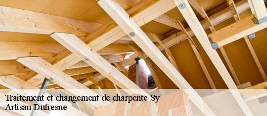 Traitement et changement de charpente